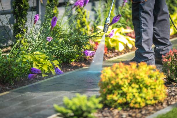 Best Pool Deck Cleaning in Derwood, MD